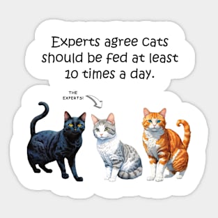 Experts agree cats should be fed at least 10 times a day - funny watercolour cat design Sticker